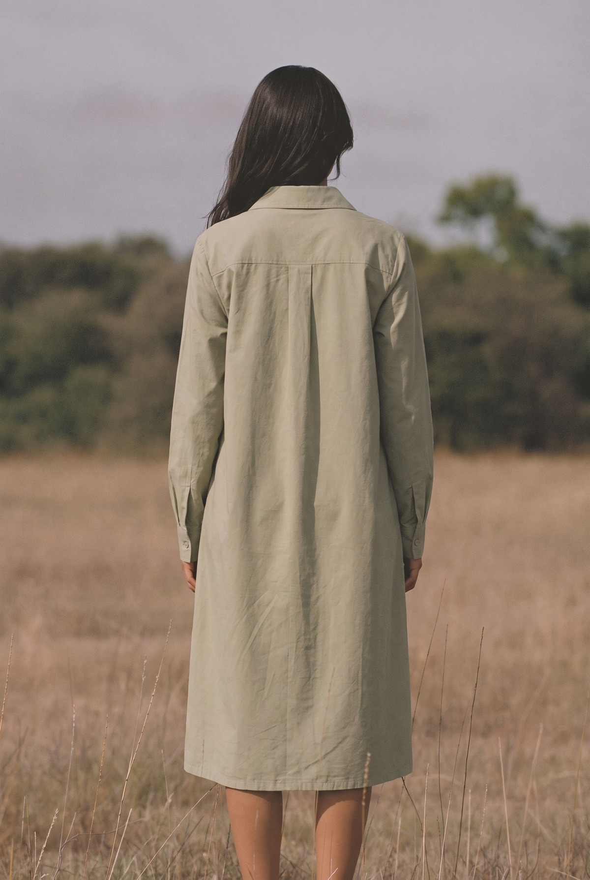The Cora Midi in Sage, back