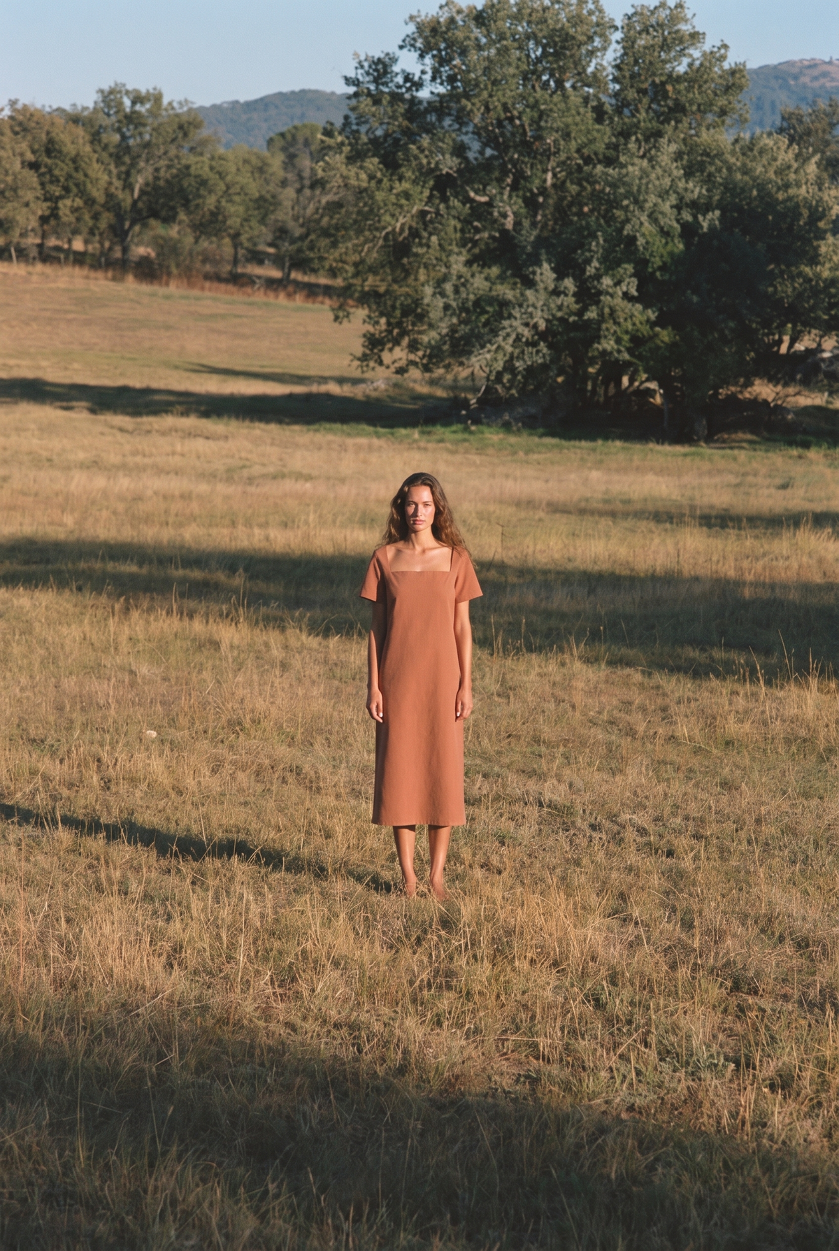 The Juniper Midi in Terracotta, in the field